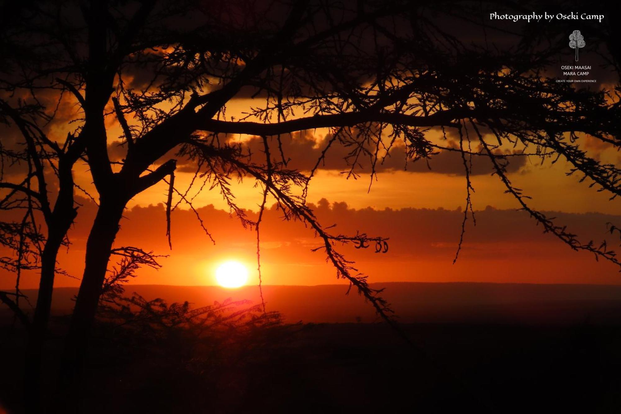 ホテル Oseki Maasai Mara Camp Narok エクステリア 写真