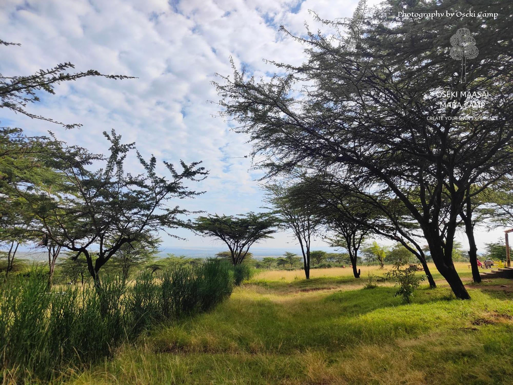 ホテル Oseki Maasai Mara Camp Narok エクステリア 写真